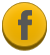 icon facebook